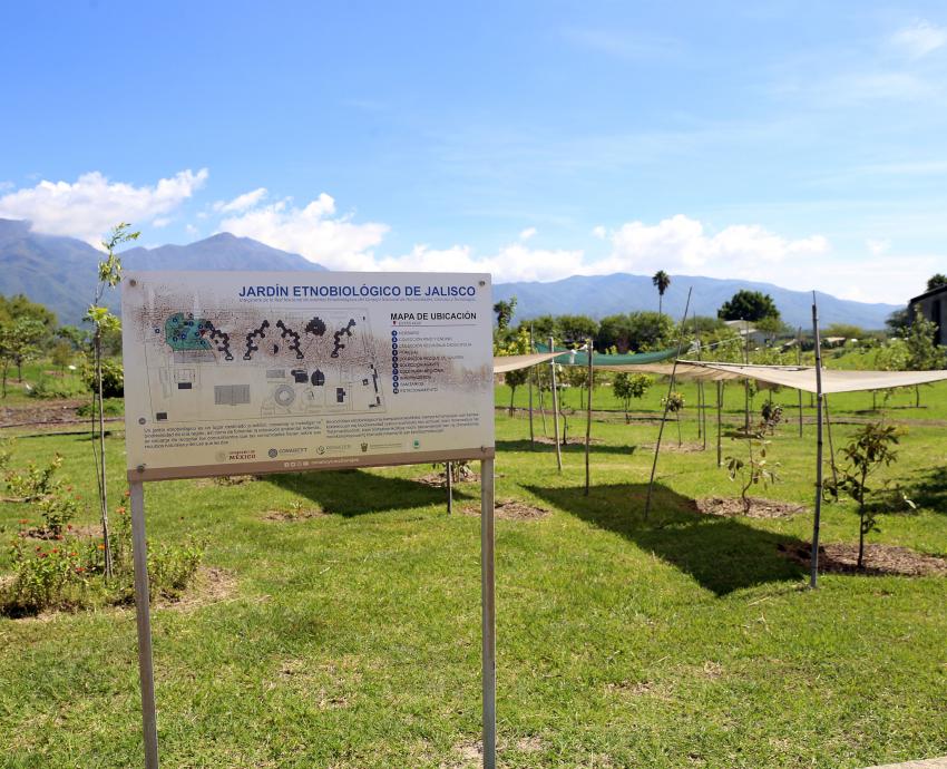 Impulsa CUValles conservación de la biodiversidad con Laboratorio jardín etnobiológico de Jalisco