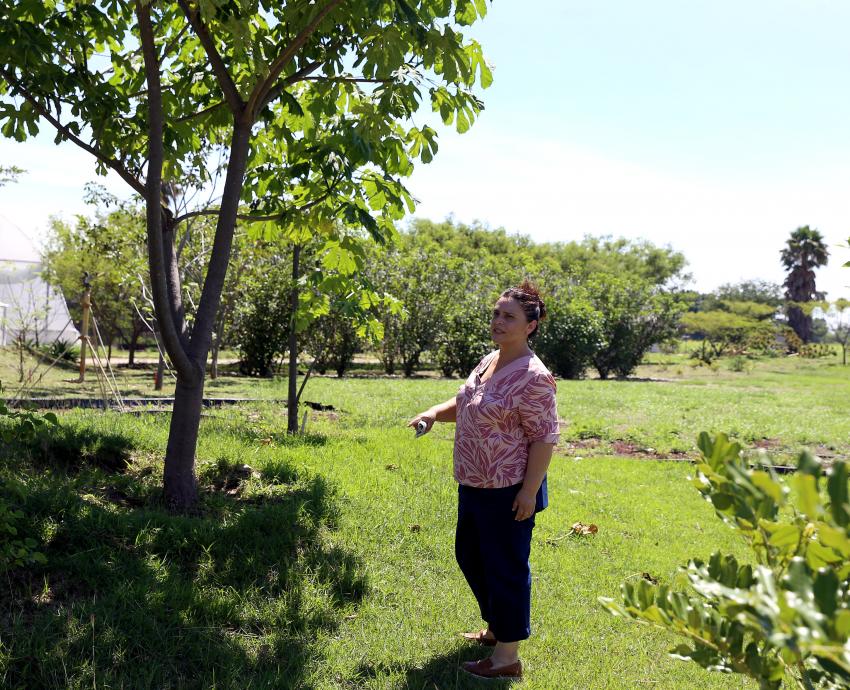 Impulsa CUValles conservación de la biodiversidad con Laboratorio jardín etnobiológico de Jalisco