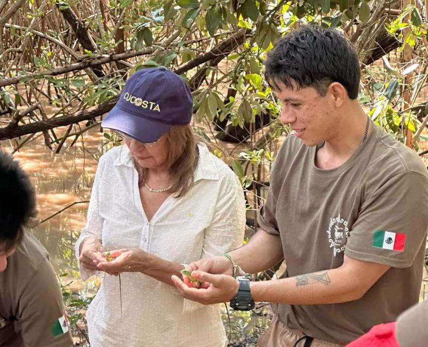 Participa CUCosta en liberación de 180 crías de iguana verde durante el 26 aniversario del estero El Salado
