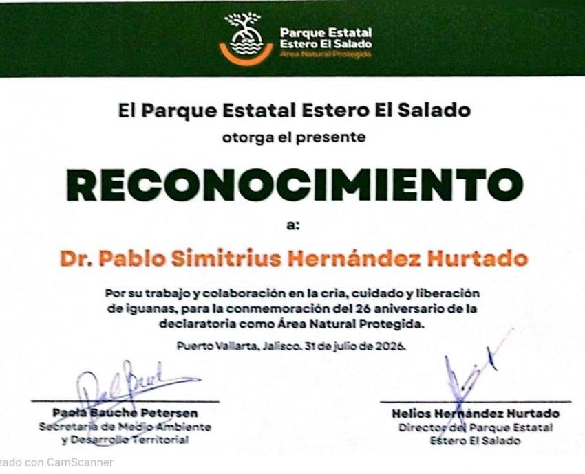 Participa CUCosta en liberación de 180 crías de iguana verde durante el 26 aniversario del estero El Salado