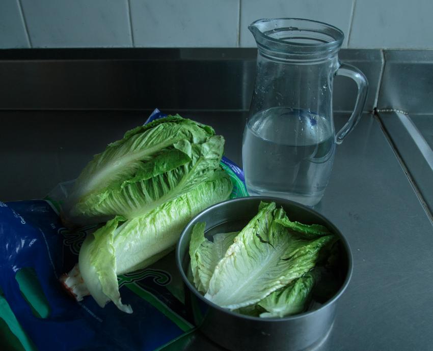 Llaman a tomar medidas sanitarias para prevenir infecciones diarreicas