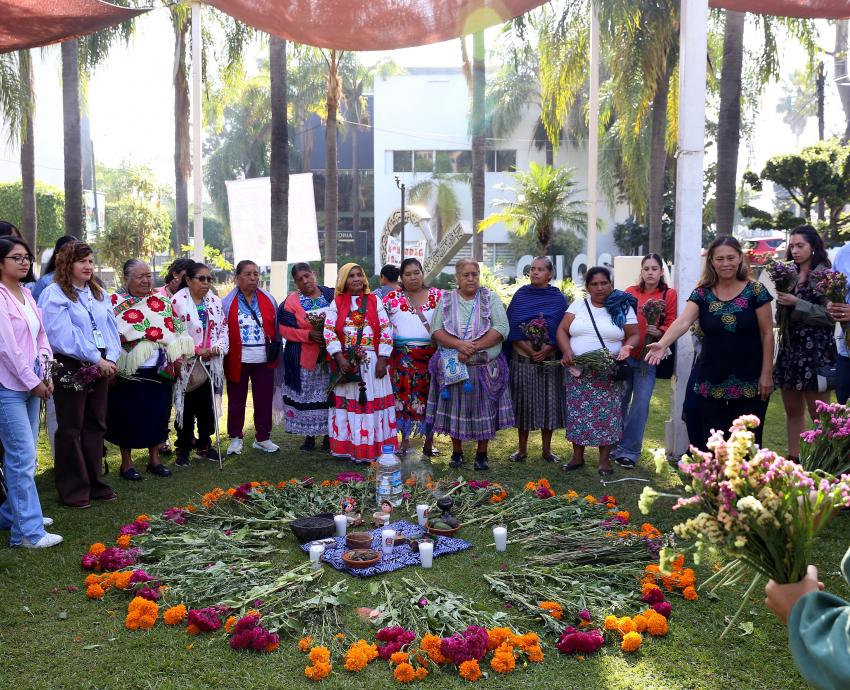 Promueve UdeG saberes ancestrales sobre alimentación y medicina tradicional en encuentro Raíces del sol