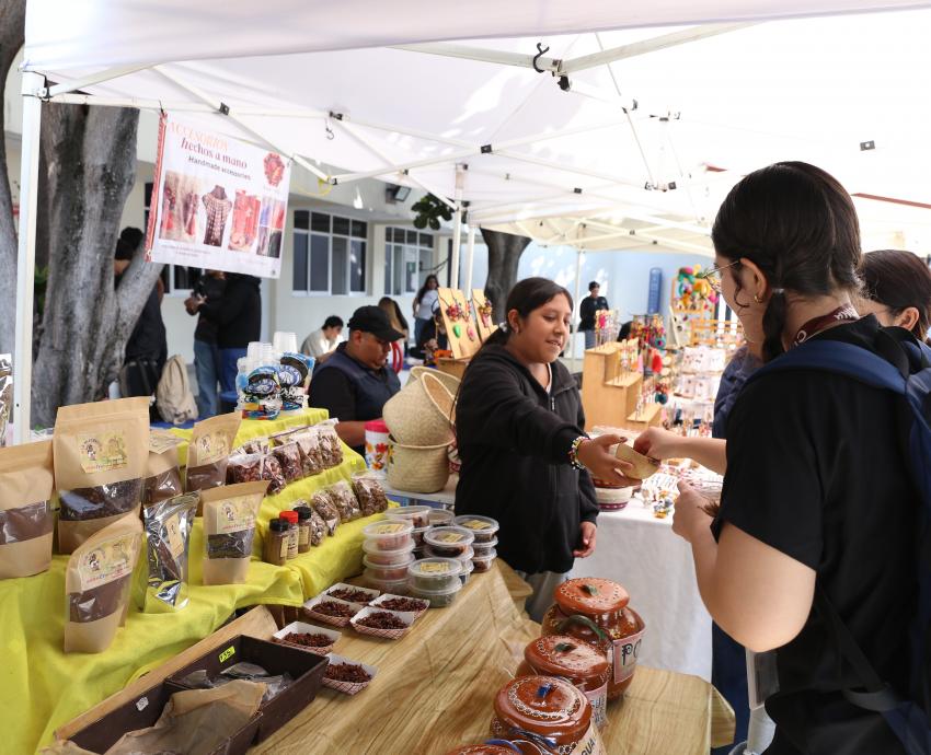 Promueve UdeG saberes ancestrales sobre alimentación y medicina tradicional en encuentro Raíces del sol
