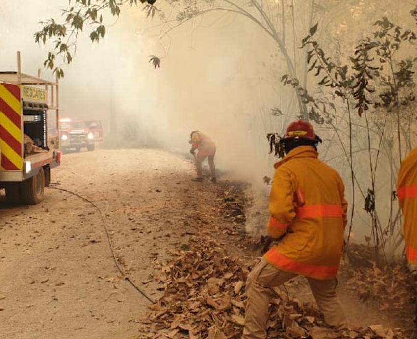 Colabora CUSur en acciones para abatir incendio forestal