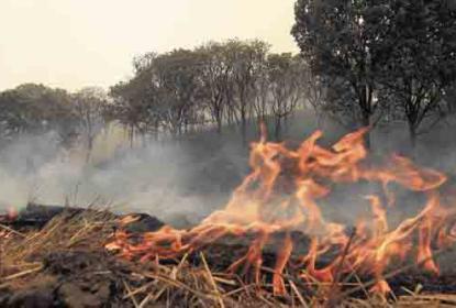 Pronostica especialista una “difícil” temporada de incendios en Jalisco este año