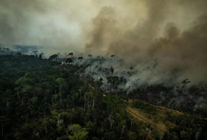 Incendio en la Amazonía: ecocidio que resentiremos todos