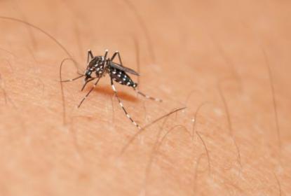 Dengue no amaina en 2020; alertan a la población para prevenirlo