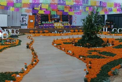 Crean altar de muertos con más de cinco mil flores de cempasúchil en CUCBA