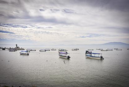 Sobrepoblación de lobina negra pone en riesgo producción de charales en Chapala