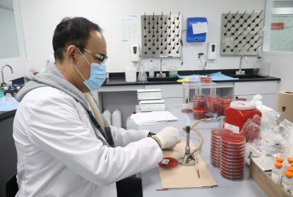 Con hemocultivos, optimizan tratamientos en pacientes del HCG