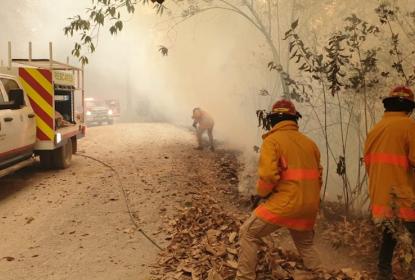 Colabora CUSur en acciones para abatir incendio forestal