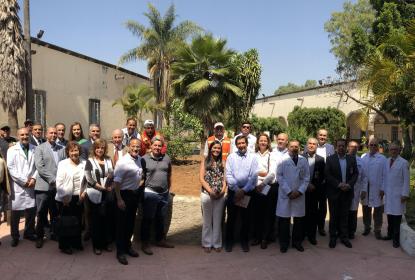 De regreso el “Árbol del Monje” en el Antiguo Hospital Civil de Guadalajara