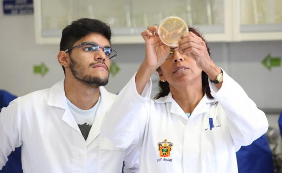 Científicos de las Cátedras de la Diáspora Mexicana fortalecen la investigación global de la UdeG