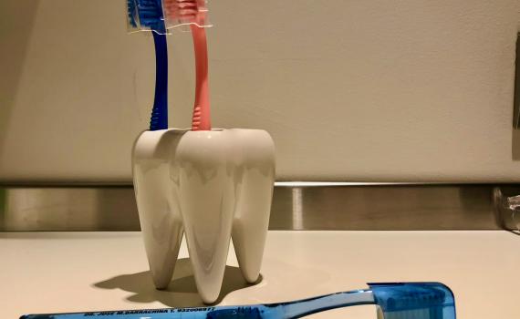 Cepillos de dientes, caldo de cultivo para bacterias y hongos