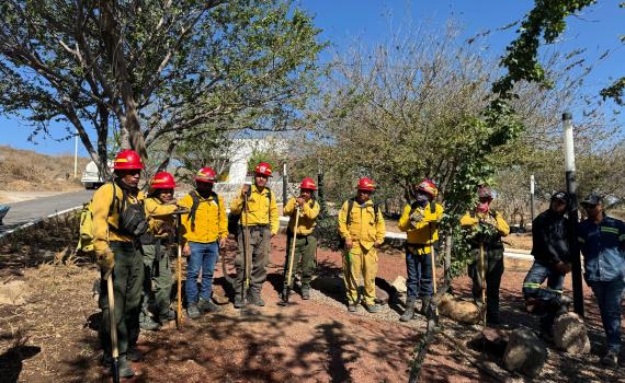 UdeG, Conafor y Semadet impulsan restauración del Cerro del Cuatro