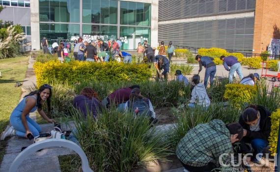 Con jardines polinizadores, CUCSH impulsa acciones en materia medioambiental