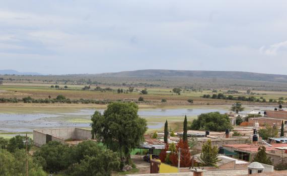 Sistemas xerorribereños carecen de protección en región Altos Norte