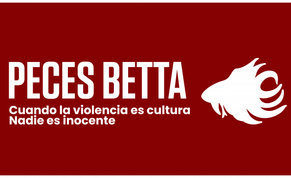 Cortometraje “Peces betta” obtiene estímulo Proyecta 2026