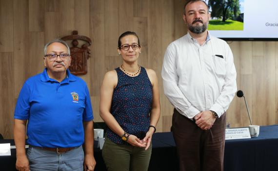 Poco suelo y enfermedades hacen propensa la caída de árboles en la AMG