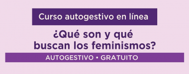 Cartel del Curso en línea: ¿Qué son y qué buscan los feminismos?
